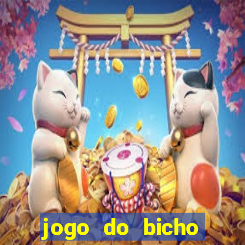 jogo do bicho crash bingo